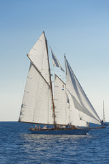 Fototapeta na wymiar Ancient sailing boat during a regatta at the Panerai Classic Yac