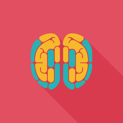 brain flat icon with long shadow