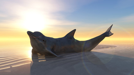 delfin © juanjo