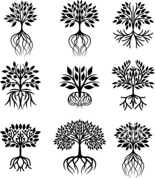 Trees with roots