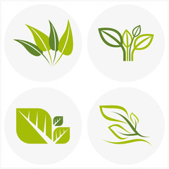 logos of green leaf