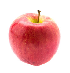 Apple isolated on white