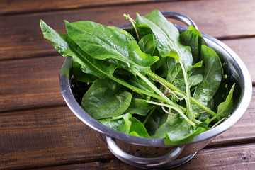 Fresh organic sorrel