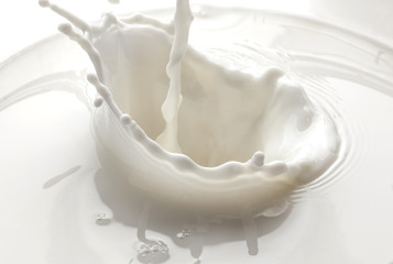 Gießen von Milchspritzer isoliert auf weißem Hintergrund