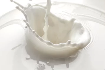 Zelfklevend Fotobehang Milkshake gieten melk splash geïsoleerd op witte achtergrond