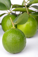 Citrus lime fruit