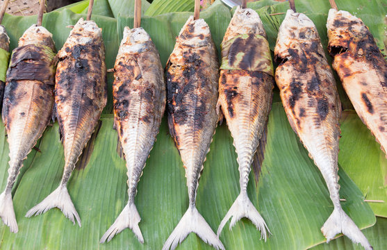 grilled torpedo scad fish - Thai food