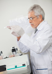 Scientist Examining Microplate