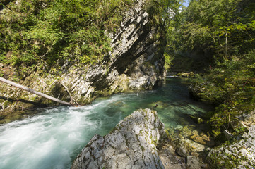 Fototapeta na wymiar Górski wąwóz,kanion Wintgar,Słowenia