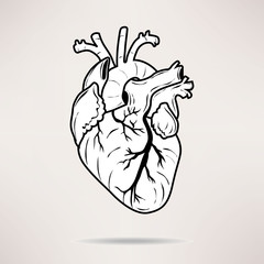 Naklejka premium Icon Body heart icon. On the white background. Vector