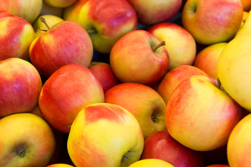 Several red with yellow apples