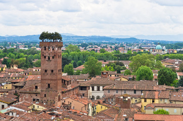 Cityscape of Lucca with Guinigi tower in front, Tuscany