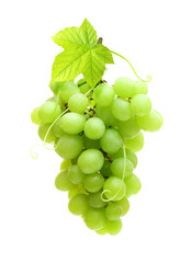 Green grape isolated