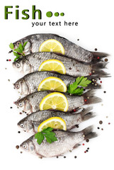 Fresh fishes with lemon, parsley and spice isolated on white