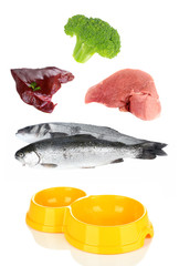 Concept of food for pets. Food and pet's bowl isolated on white