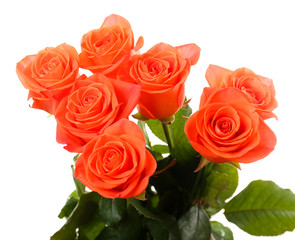 Naklejka premium Bouquet of beautiful roses isolated on white