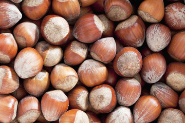Ungeschälta Haselnüsse als Hintergrund, close up