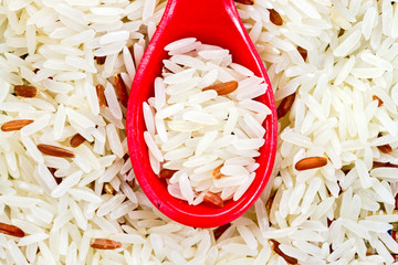 grain rice in a red color  spoon