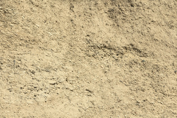 Texture - light yellow sandstone, structure of stone.