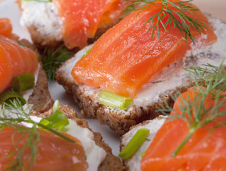 salmon