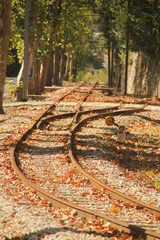 Obraz premium Vía de tren en un bosque