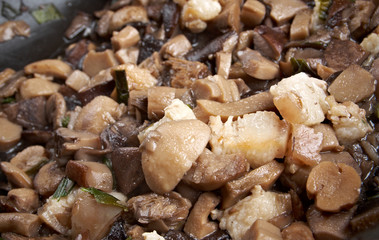 Delicious fried mushrooms in pan