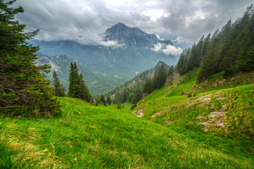 Obraz premium Mountain trail in Bavarian Alps, Germany