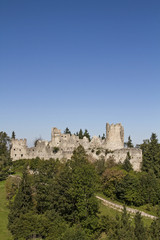 Fototapeta na wymiar Burg Hohenfreyberg
