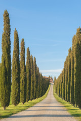 Green countryside landscape