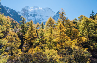 Colorful autumn