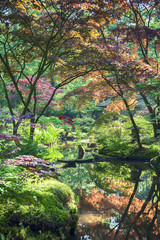 Japanese garden