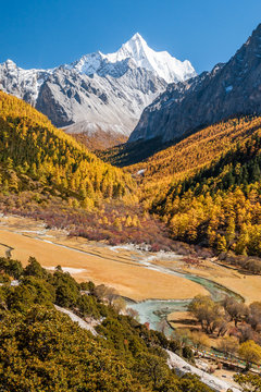 Colorful autumn
