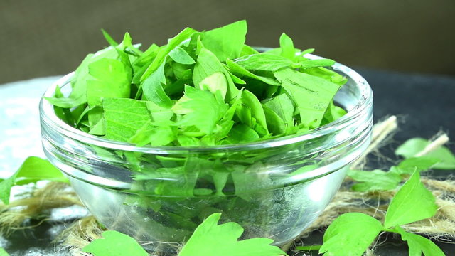 Rotating Lovage (seamless loopable)