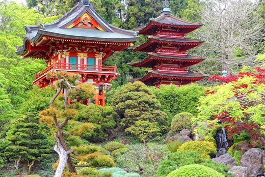 Japanese Garden, San Francisco