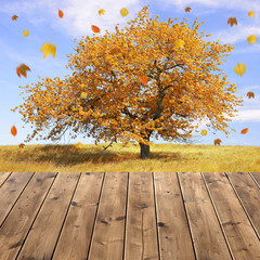Naklejka na ściany i meble Autumn landscape with tree and wooden planks