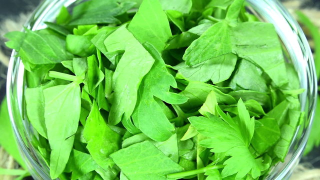 Rotating Lovage (not loopable)