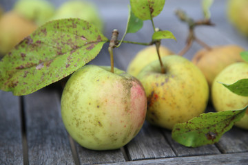 apfel