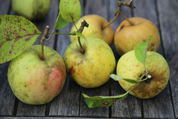 apfel