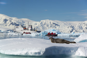 People in small inflatible zodiac rib boats on the calm water around small islands of the Antarctic. A crabeater seal on the ice.