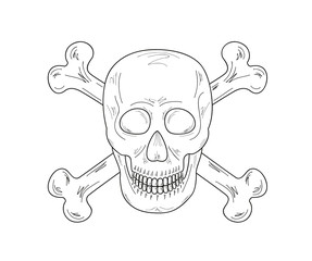 sketch of the skull and bones