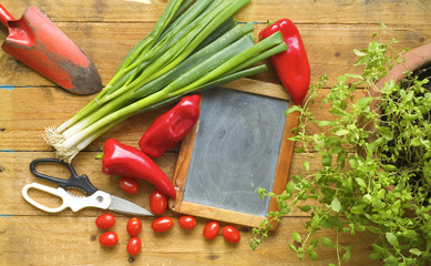 herbs, food ingredients, slate for recipes, cooking or gardening