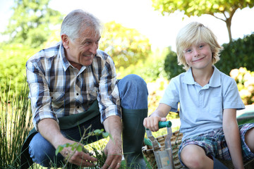 Grandpa with grandson gardening together in summer time