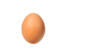 Chicken egg