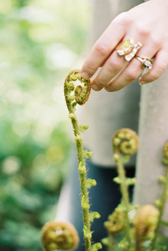 A woman touching the top of a fiddlehead fern.