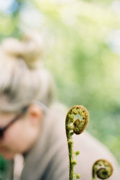 A woman in the background and a fiddlehead fern plant unfolding its growing tip.