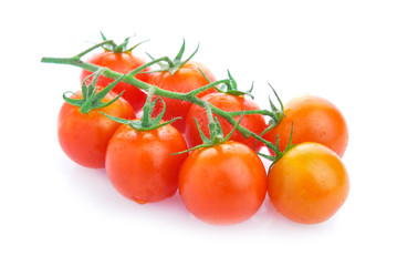 Closeup of cherry tomatoes on the vine