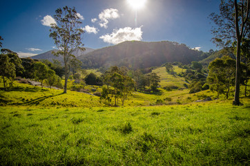 Landscape in Victore (Australia)
