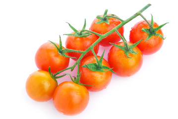 Closeup of cherry tomatoes on the vine