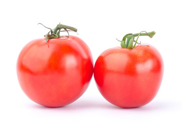 Fresh tomato