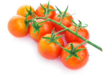 Closeup of cherry tomatoes on the vine